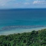 Guide to Renting in Port Douglas