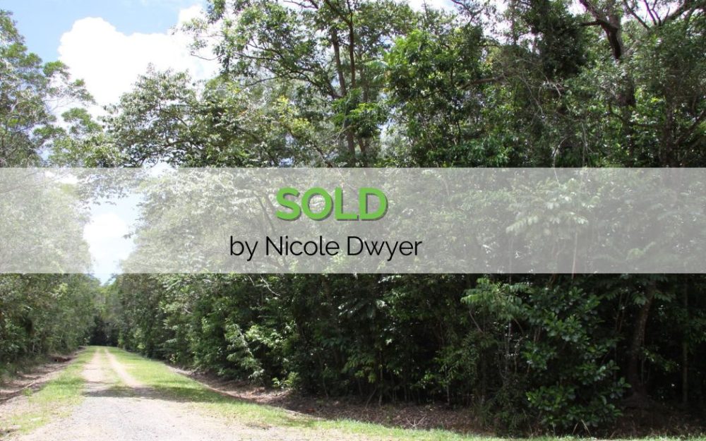 RARE OPPORTUNITY: 1.36ha RAINFOREST BLOCK IN THE DAINTREE – YOURS TO OWN!